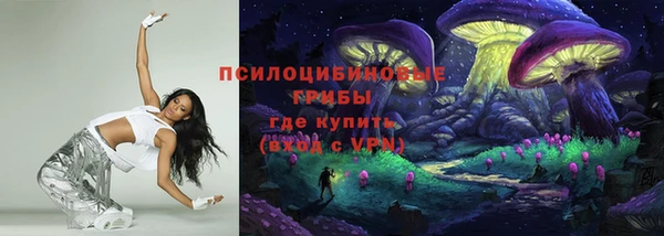 спиды Арсеньев
