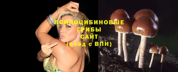 трава Аркадак