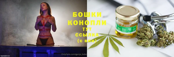 ECSTASY Армянск