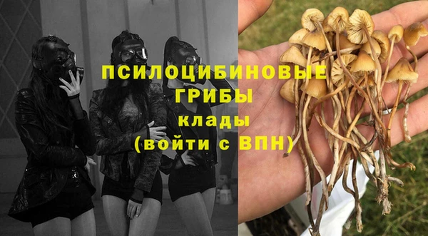 трава Аркадак