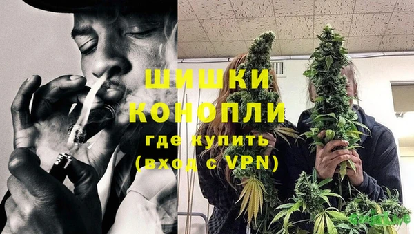 трава Аркадак