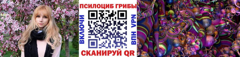 где купить наркоту  Долгопрудный  Псилоцибиновые грибы GOLDEN TEACHER 