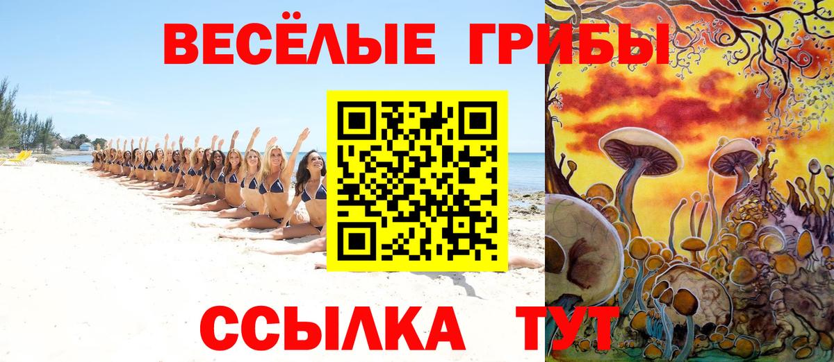 Долгопрудный  Галлюциногенные грибы прущие грибы  Вход с VPN  продажа наркотиков  Псилоцибиновые грибы GOLDEN TEACHER 