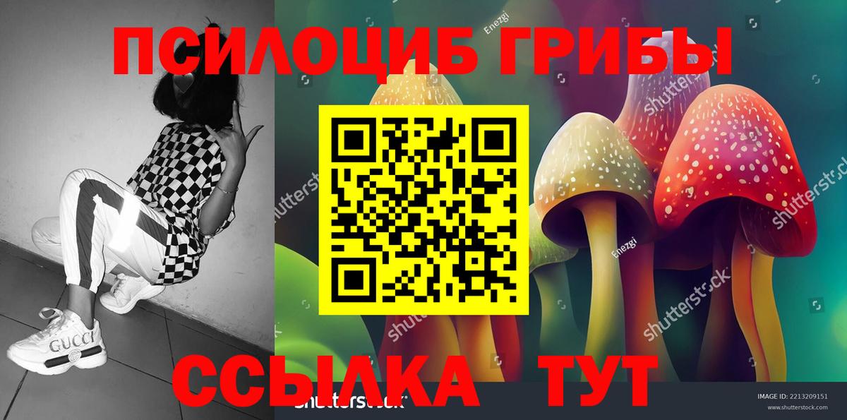 Псилоцибиновые грибы мухоморы Долгопрудный